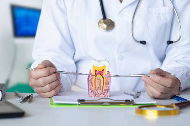 Best Emergency Dental Care for Sports Injuries in Lindale, TX